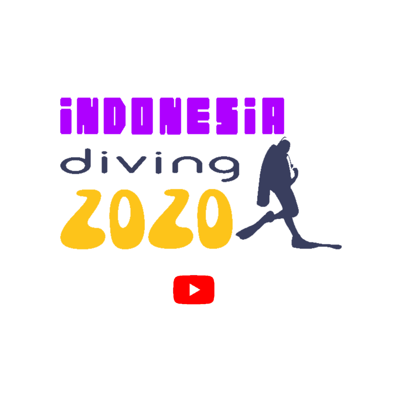Dive Into Adventure: Exploring Indonesia Through the Lens of IndonesiaDiving2020 Cover